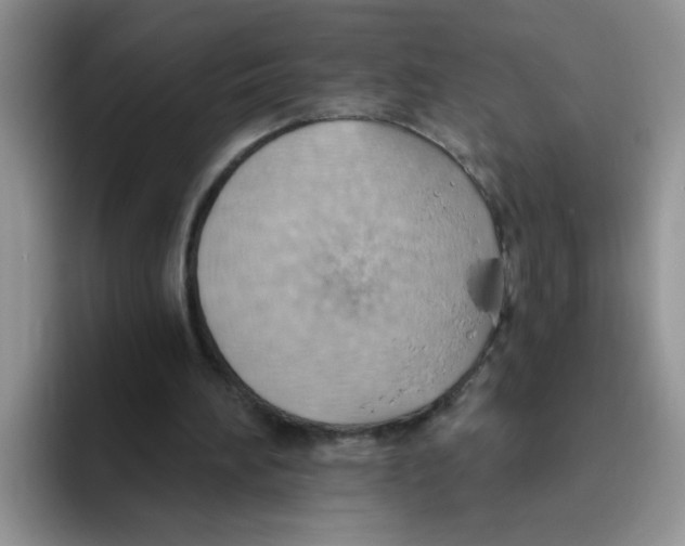 X0000093520196200711091745