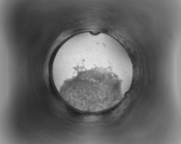 X0000093520198200711091745