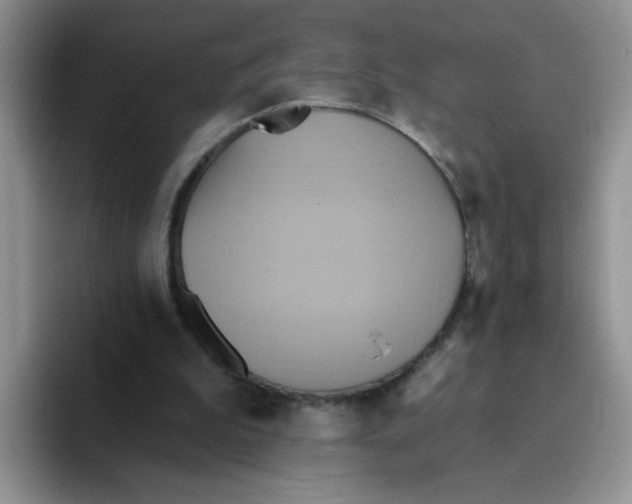 X0000093520199200711091745