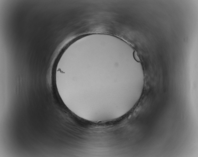 X0000093520200200711091745