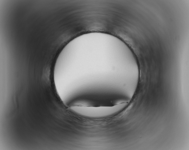 X0000093520201200711091745