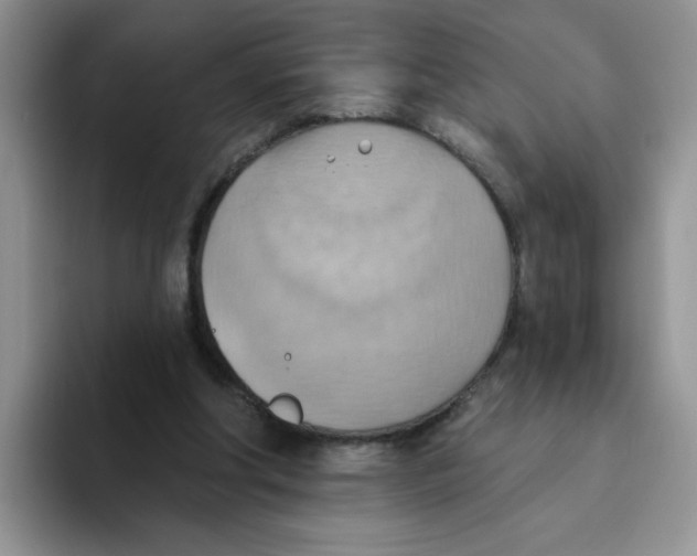 X0000093520202200711091745