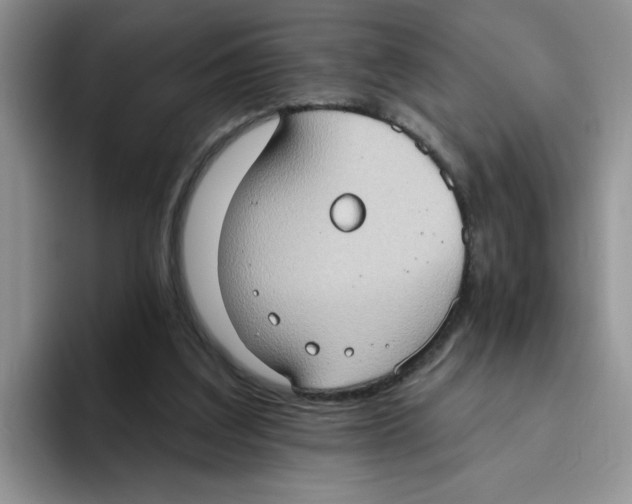 X0000093520203200711091745