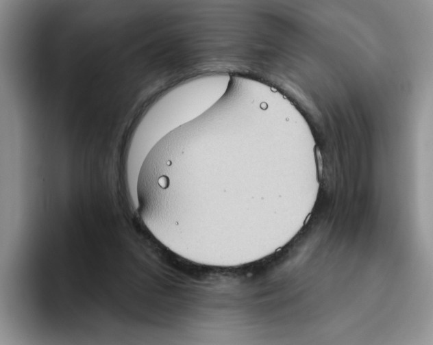 X0000093520207200711091745