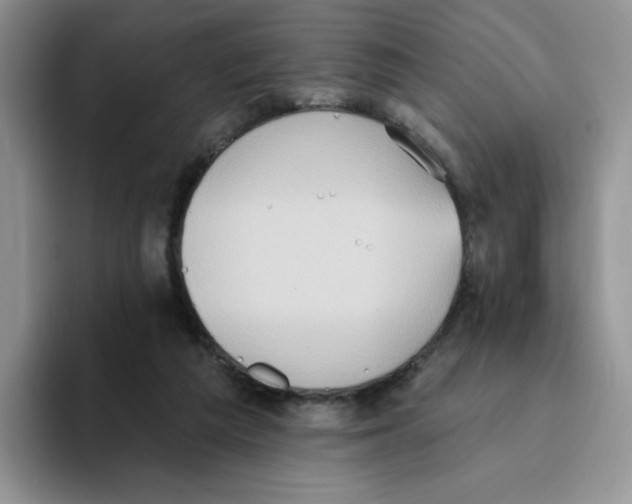 X0000093520209200711091745