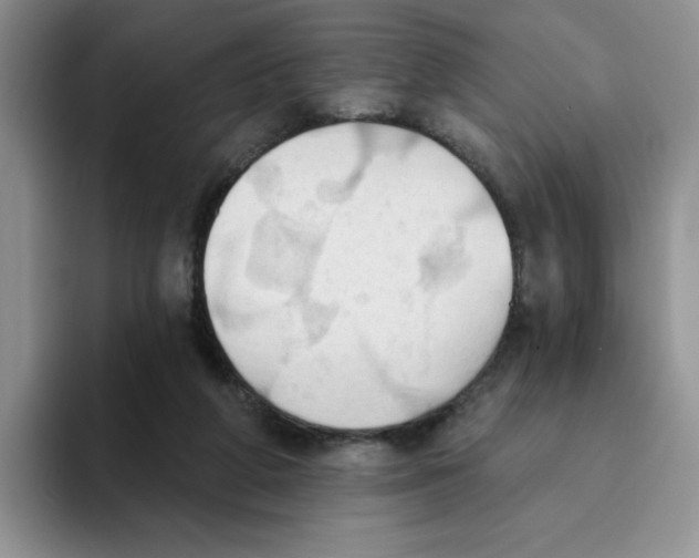 X0000093520210200711091745