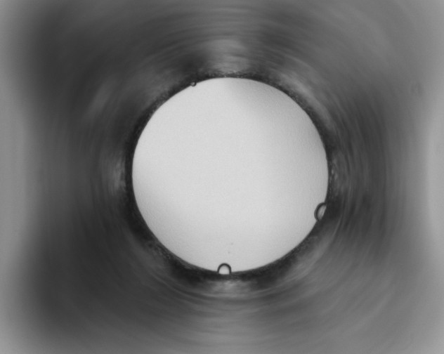 X0000093520212200711091745