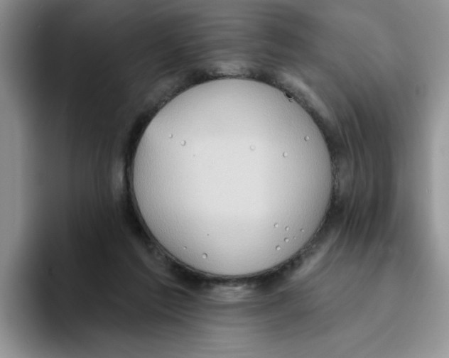 X0000093520213200711091745