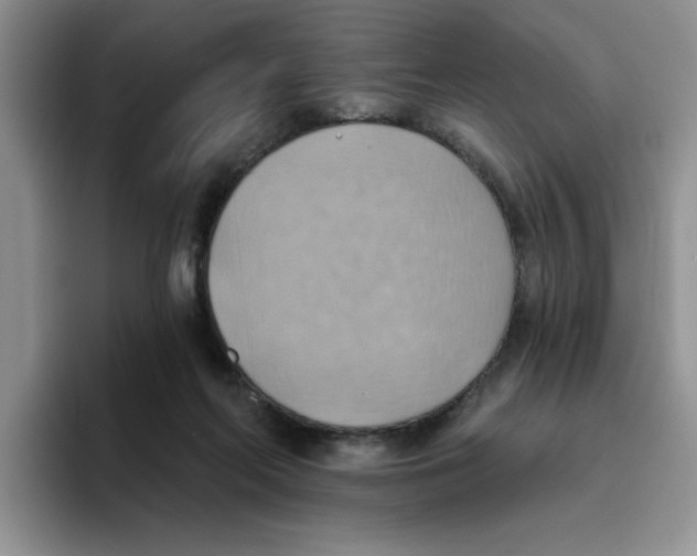 X0000093520214200711091745