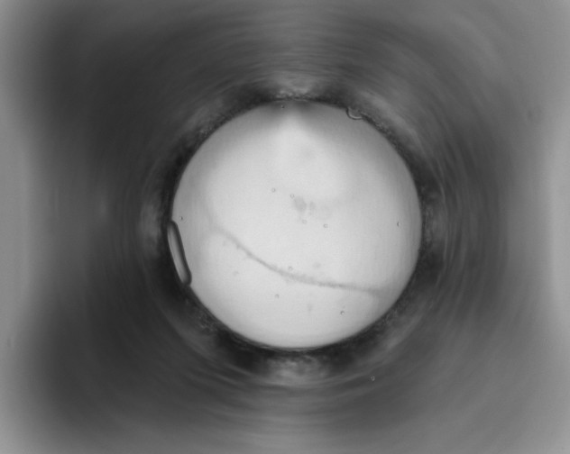 X0000093520215200711091745