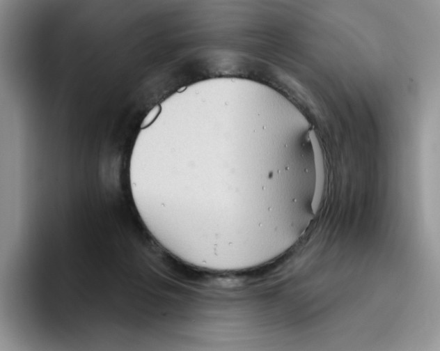 X0000093520217200711091745