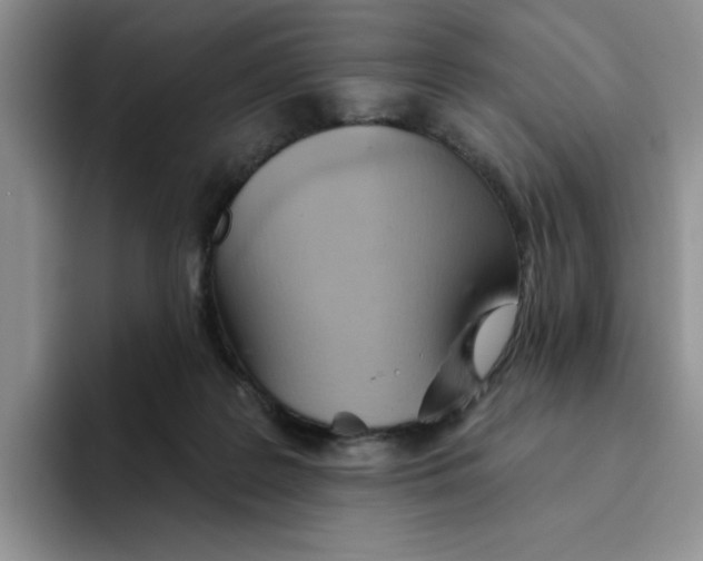 X0000093520219200711091745