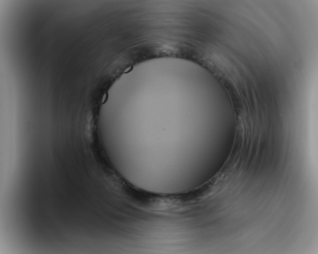 X0000093520223200711091745