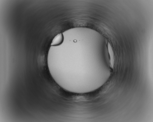 X0000093520224200711091745