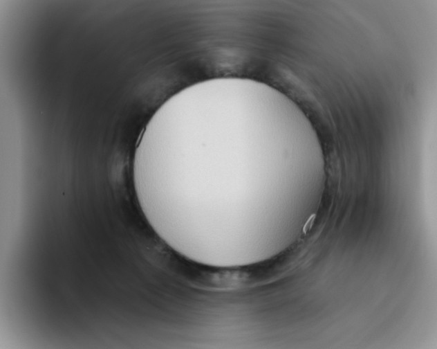 X0000093520225200711091745