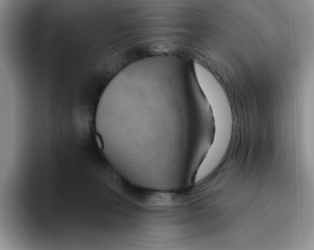 X0000093520227200711091745