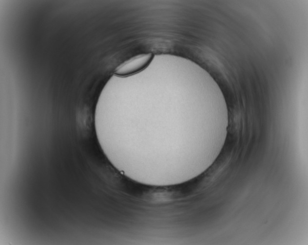 X0000093520228200711091745