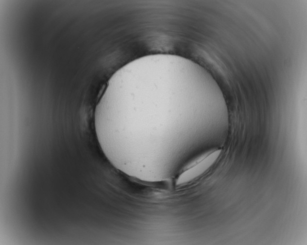 X0000093520229200711091745