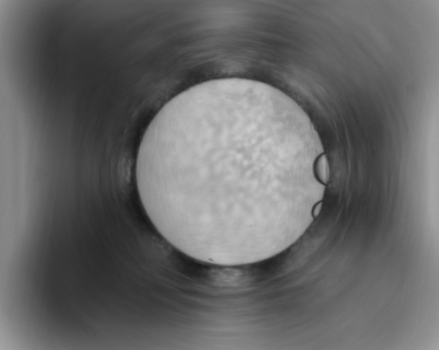 X0000093520230200711091745