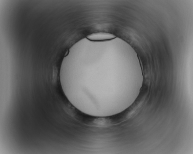 X0000093520231200711091745