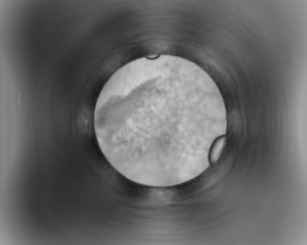 X0000093520234200711091745