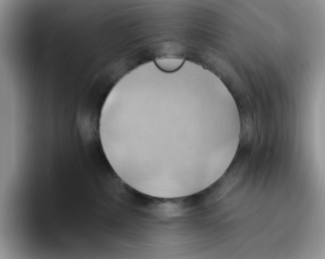 X0000093520236200711091745