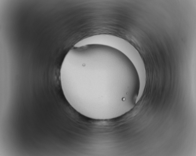 X0000093520237200711091745