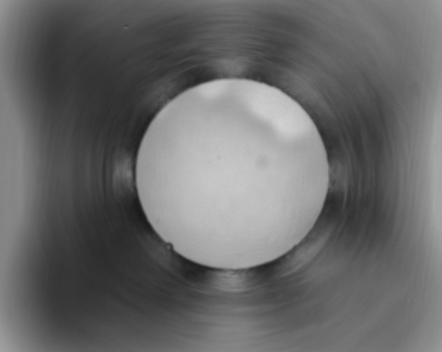 X0000093520238200711091745