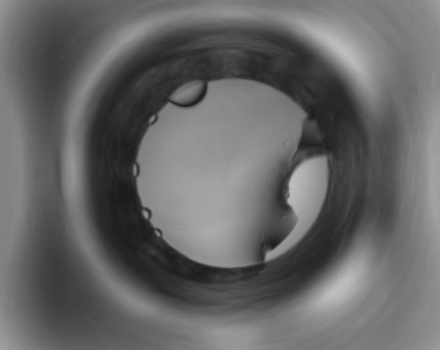 X0000093520239200711091745