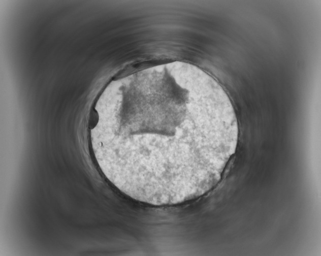 X0000093520241200711091744