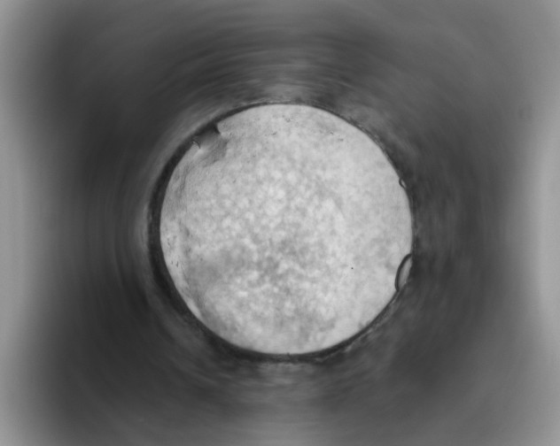 X0000093520242200711091744