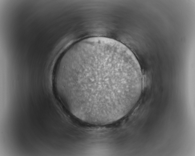 X0000093520243200711091744