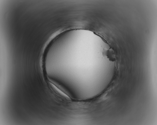 X0000093520244200711091744