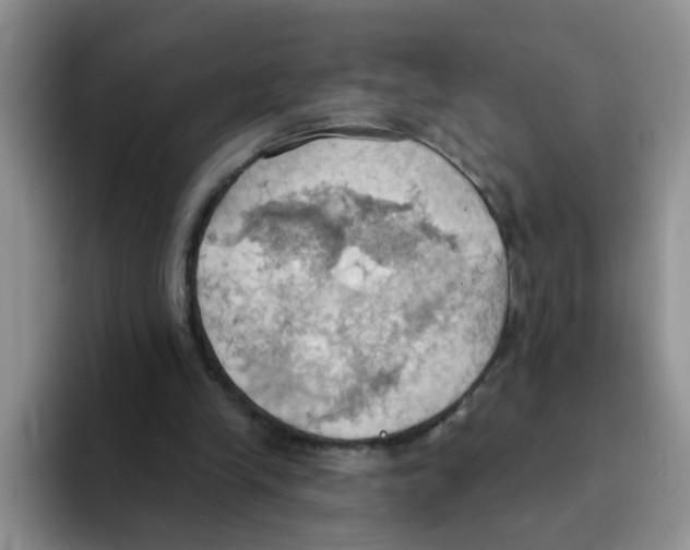 X0000093520245200711091744