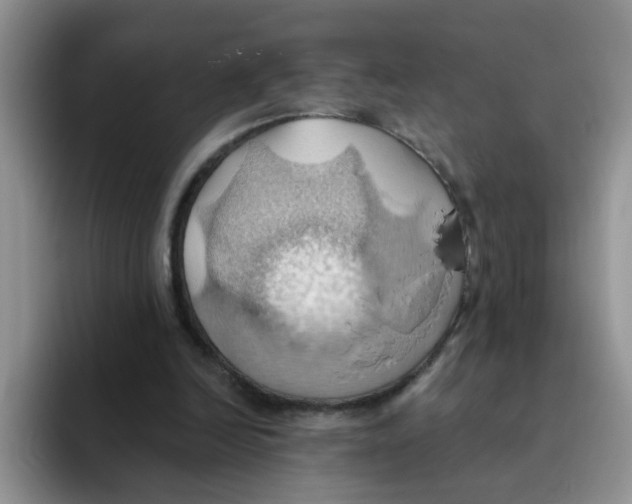 X0000093520246200711091744