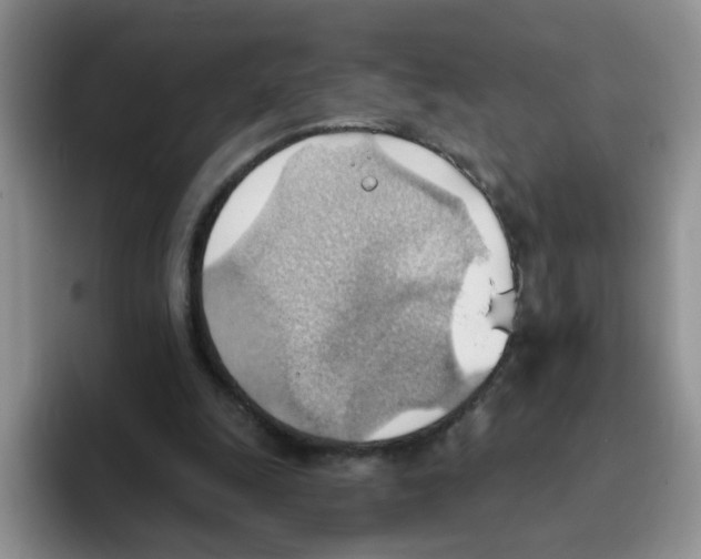 X0000093520247200711091744