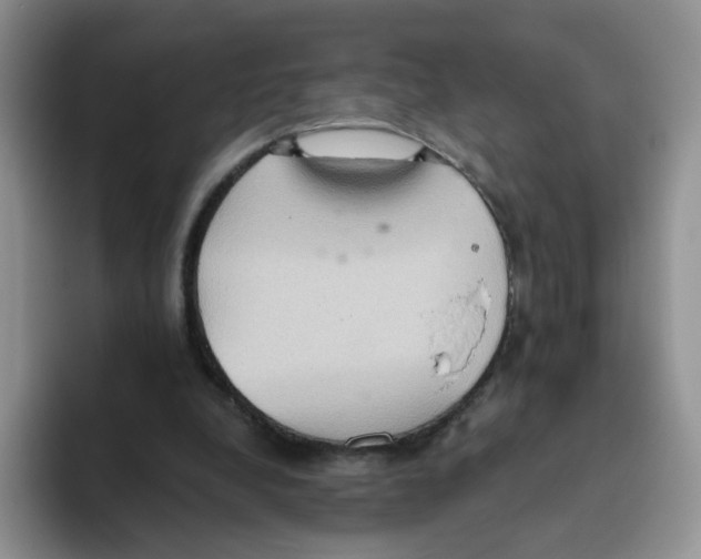 X0000093520248200711091744