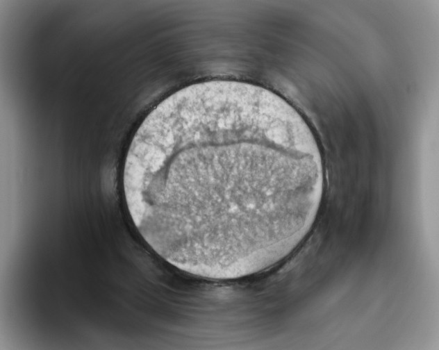 X0000093520249200711091744