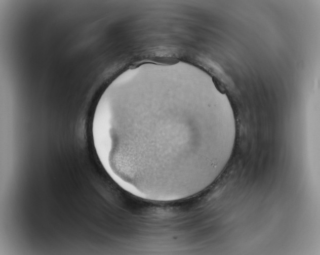 X0000093520250200711091744