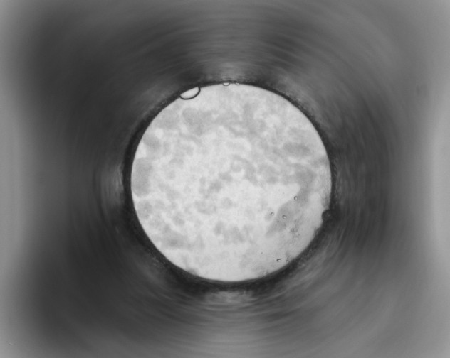 X0000093520251200711091744