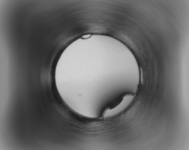 X0000093520252200711091744