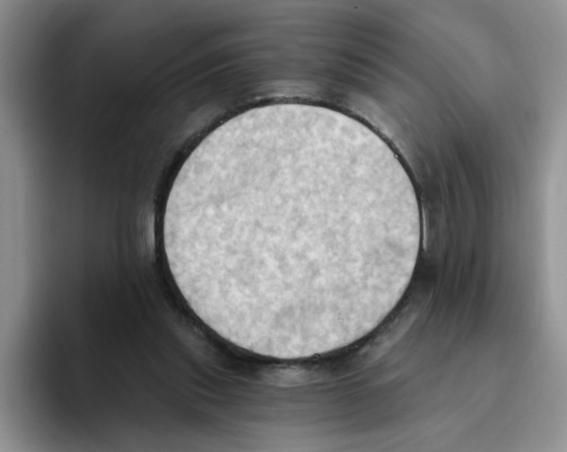 X0000093520253200711091744