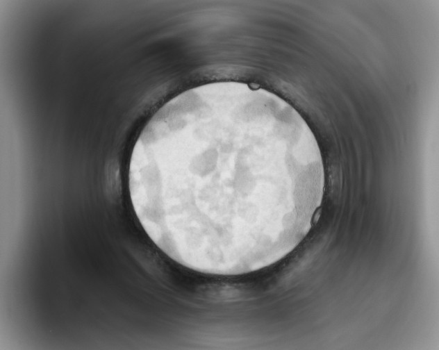 X0000093520254200711091744