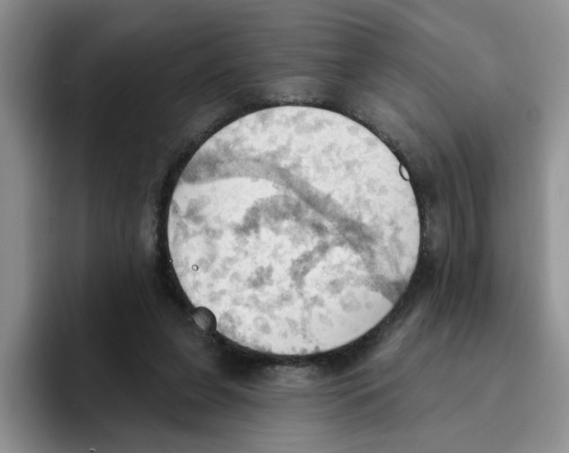 X0000093520255200711091744