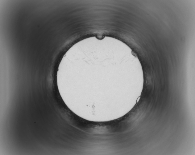 X0000093520256200711091744