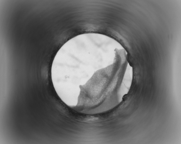 X0000093520257200711091744