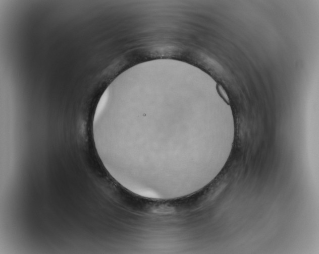 X0000093520258200711091744