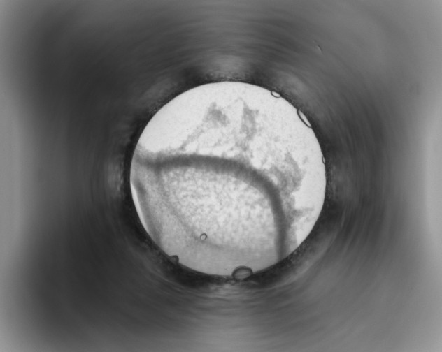 X0000093520259200711091744