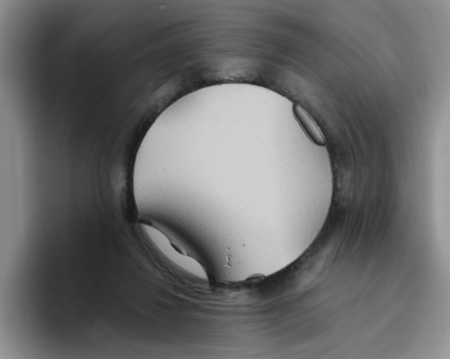 X0000093520260200711091745