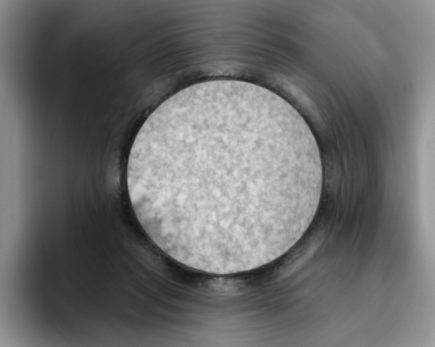 X0000093520261200711091745